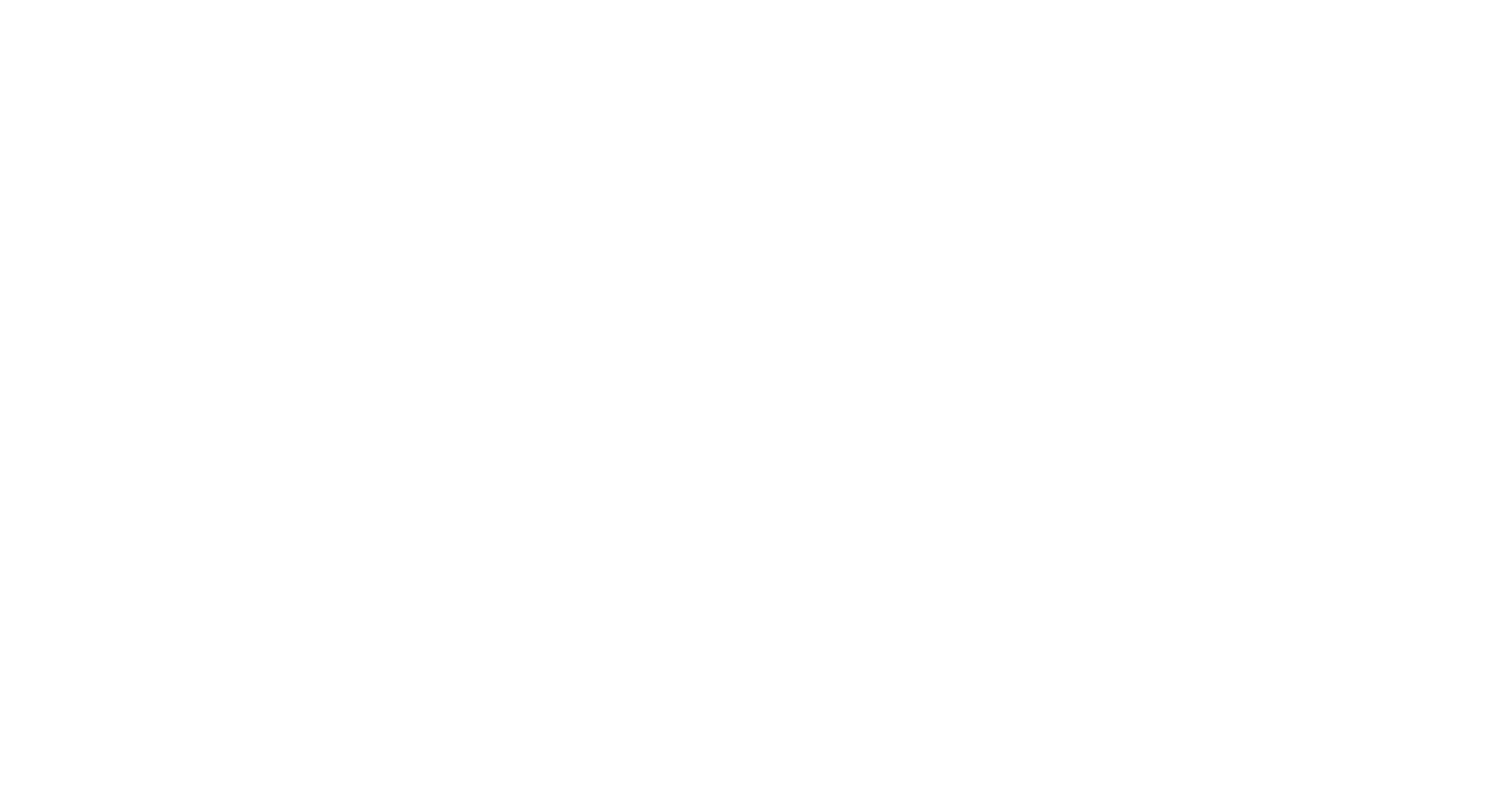 WordPress Geschichte
